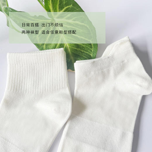 【4双装】春夏女士蚕丝蛋白护肤抗菌短袜 商品图3