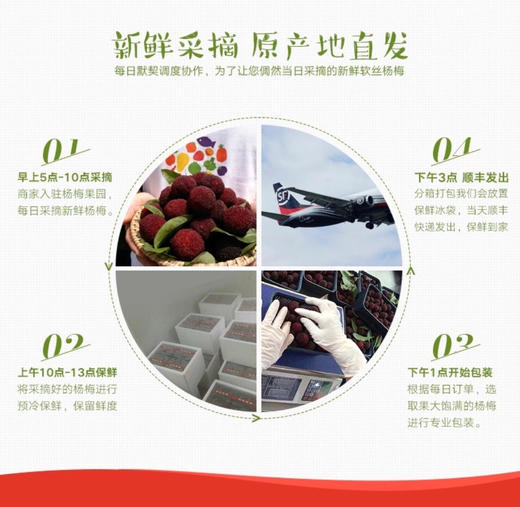 仙居“有机东魁”杨梅 商品图1