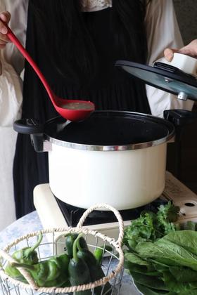 德世朗【马卡龙色系】6L钛合金涂层珐琅微压锅