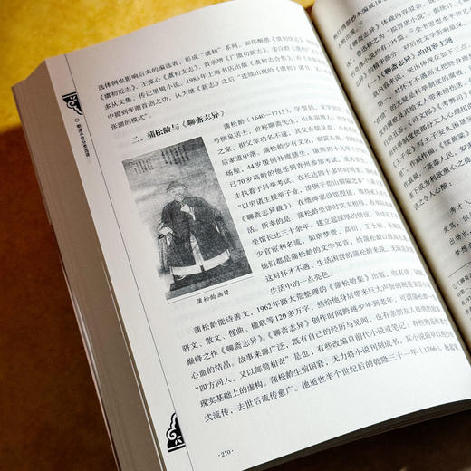 明清小说分类选讲 谭帆 普通高等教育十一五国家规划教材 商品图13