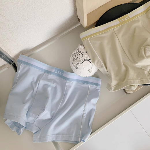 男士内裤男夏季莫代尔棉中腰平角裤透气吸汗大码无痕男生抗菌 商品图3
