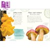 【中商原版】DK真菌选集 An Anthology of Fungi 英文原版 儿童科普绘本 一本精美的野外指南 知识百科图画书 进口童书 精装 商品缩略图4