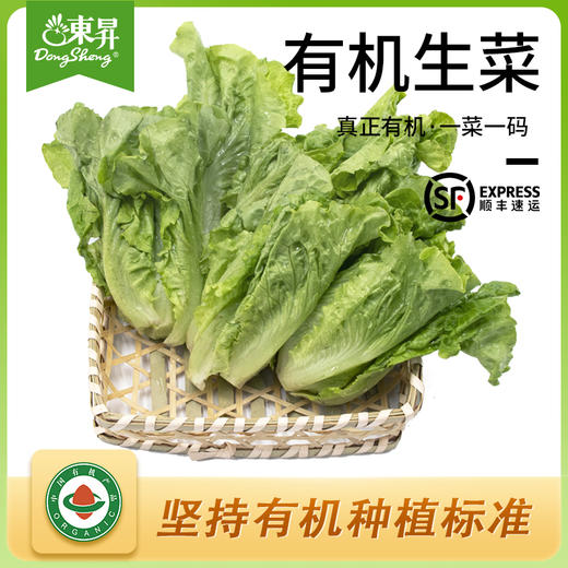 东升农场 有机生菜 沙拉菜莴苣 广州供港新鲜蔬菜配送 300g 商品图0