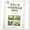 黑龙江省中药植物资源（药典篇）杨波 邵成文 樊锐锋 主编 中国中医药出版社 商品缩略图3