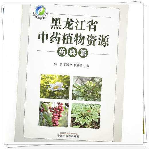 黑龙江省中药植物资源（药典篇）杨波 邵成文 樊锐锋 主编 中国中医药出版社 商品图3
