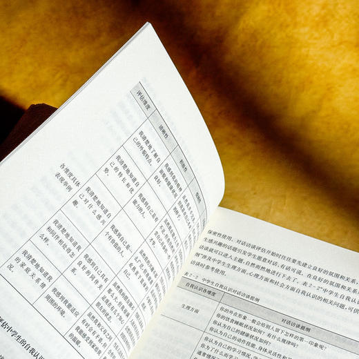 从“心”理解学生 中学生心理评估与干预策略 青少年心理教育 商品图12