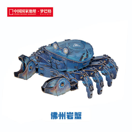 博物文创 班门弄甲系列拼插纸模 白鲸 大白鲨 鲸鲨 抹香鲸 送礼好物 商品图5