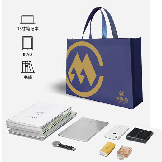 蓝神无纺布袋（10个装） 商品图2