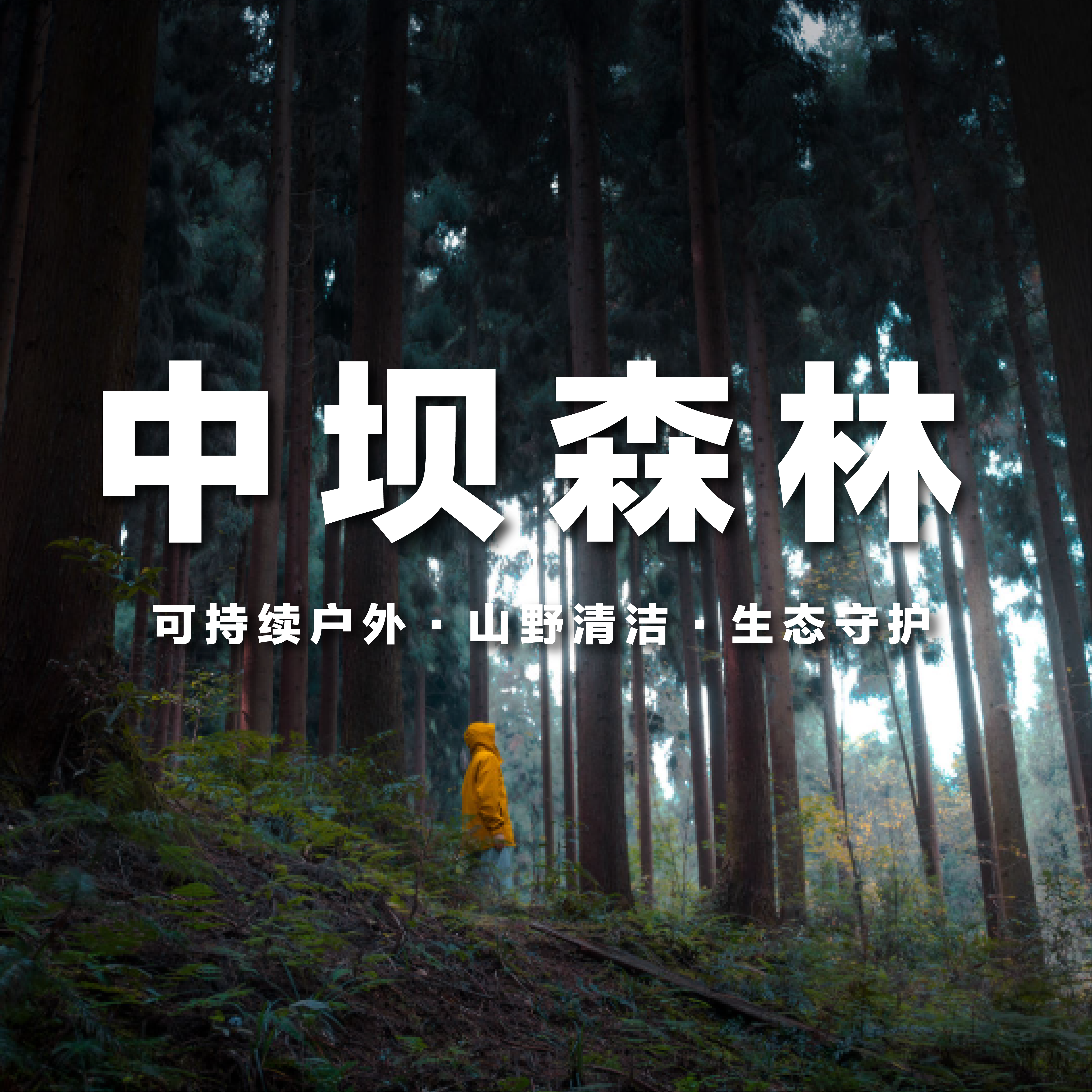 【发起活动 | 10人成团 | 中坝森林+白鹿小镇一日往返直通车】拜古镇，品美食，游竹海，体验玻璃栈道，相遇慢时光