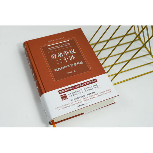 劳动争议二十讲：裁判规则与疑难释解 吴博文著 法律出版社 商品图5