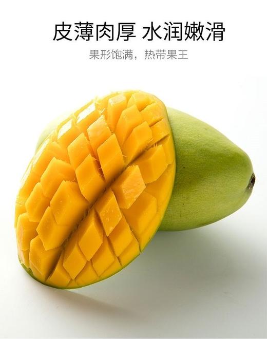 【生鲜预定】大青芒 1kg 商品图0