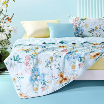 富安娜被子夏凉被纯棉七孔抑菌空调被双人可水洗夏薄被3.5斤230x229cm 商品图4