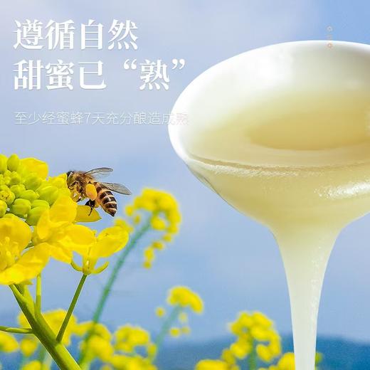 腊峰蜂业-油菜花蜜 1瓶*900g 厂家直发 商品图3