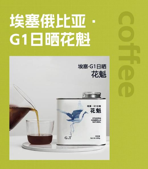 花魁G1 商品图0
