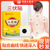 【买二送一❗️香港大药房三伏贴】多部位适用，哪里不爽贴哪里，植物成分深入热灸身体好轻松，艾灸贴温灸贴肚脐贴膏药贴，夏季三九贴艾草贴L 商品缩略图0
