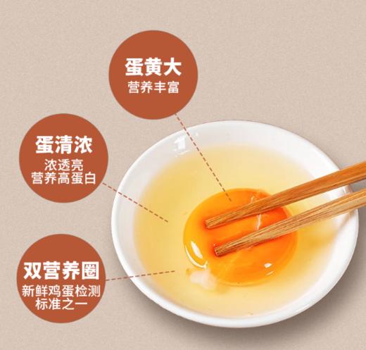居家必备新鲜鸡蛋10枚装营养健康 商品图1