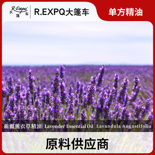 新疆薰衣草精油 中国新疆精油原料批发芳疗护理香氛调香 大篷车精油 商品图0