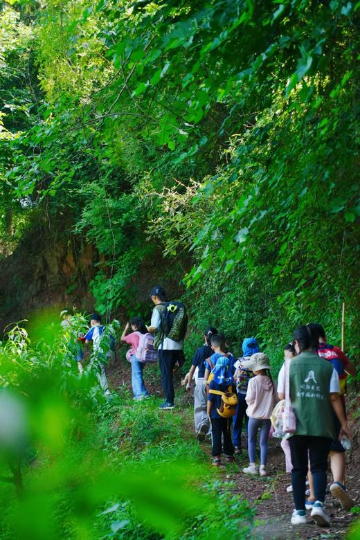 【成都1日游-龙泉山2号桃源营地】自然主题野趣半日活动营，团队可单独定制 商品图1
