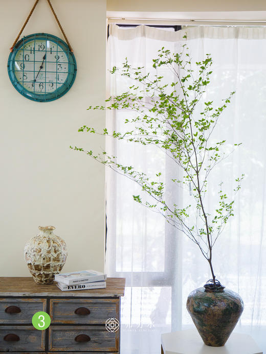 日本吊钟③（不含瓶） 商品图0