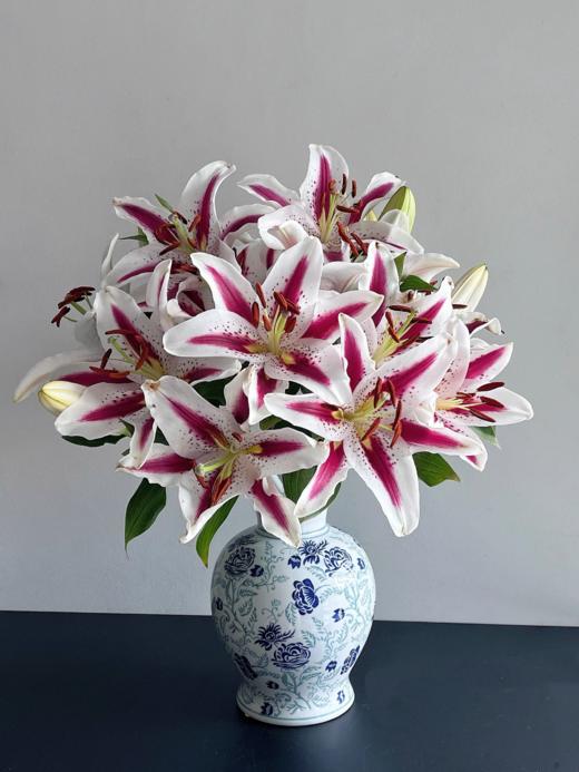 香水百合丨笑脸两头 商品图1