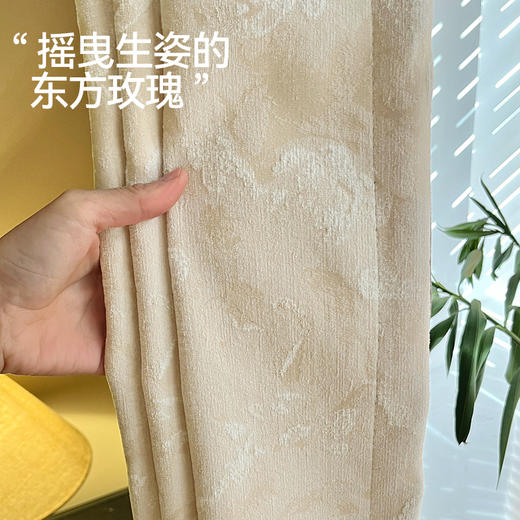 【艾莎】金蝉雪尼尔窗帘 商品图1