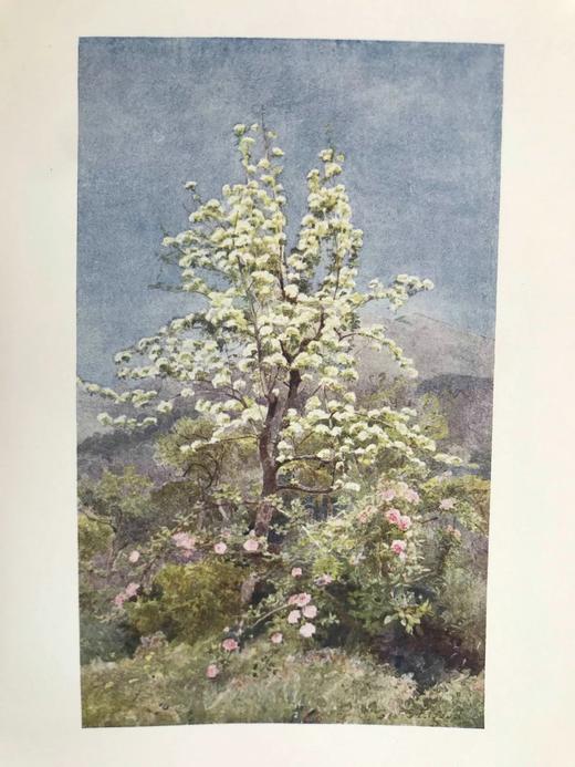 1907年 拉米亚的冬季 16幅彩色插图 漆布精装大32开 商品图7