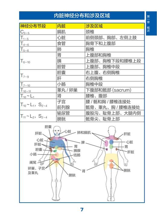 骨科检查快速指南（第5版） 商品图5