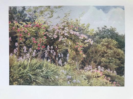 1907年 拉米亚的冬季 16幅彩色插图 漆布精装大32开 商品图14