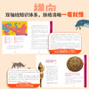 大英儿童百科 万物通史 商品缩略图1