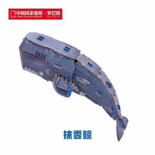 博物文创 班门弄甲系列拼插纸模 白鲸 大白鲨 鲸鲨 抹香鲸 送礼好物 商品图4