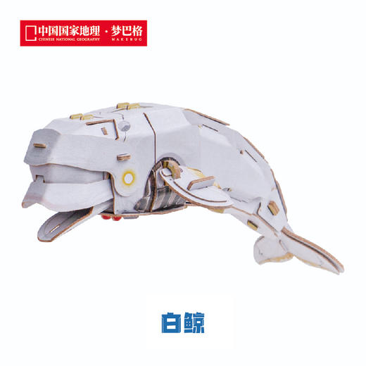 博物文创 班门弄甲系列拼插纸模 白鲸 大白鲨 鲸鲨 抹香鲸 送礼好物 商品图3