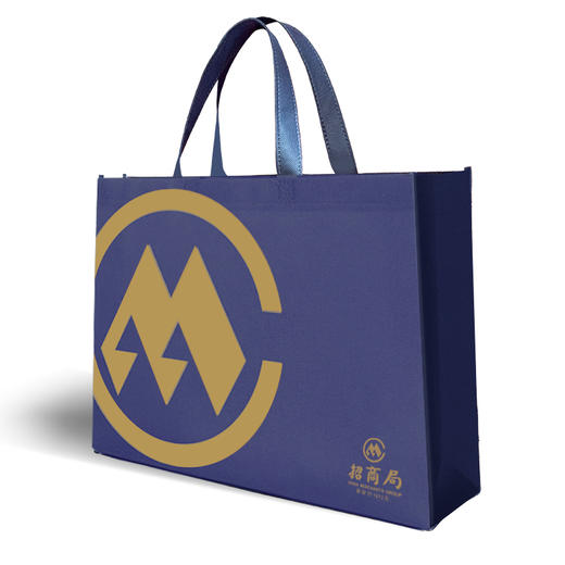 蓝神无纺布袋（10个装） 商品图4