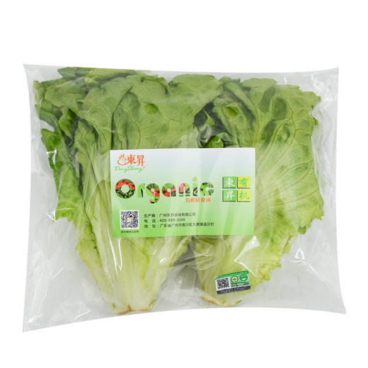 东升农场 有机生菜 沙拉菜莴苣 广州供港新鲜蔬菜配送 300g 商品图5