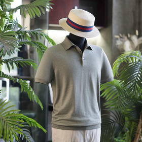 25年新款男士夏日高级皮马棉/高性能功能纤维 翻领Polo衫短袖   四色可选
