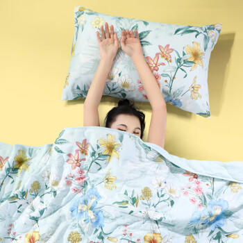 富安娜被子夏凉被纯棉七孔抑菌空调被双人可水洗夏薄被3.5斤230x229cm 商品图2