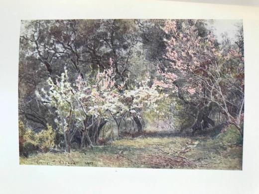 1907年 拉米亚的冬季 16幅彩色插图 漆布精装大32开 商品图12