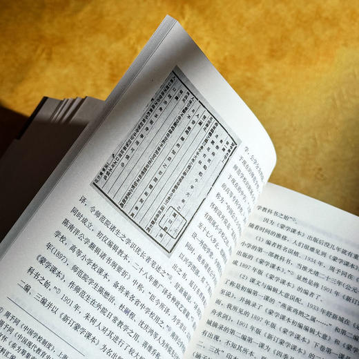 晚清新式蒙学教材研究 从传统蒙学到现代教育 张心科 近代教育史 商品图10