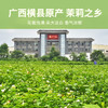 张一元茶叶茉莉花茶传统礼包茶礼新茶浓香型特级400g礼盒装 父亲节礼物 /水饮冲调 /茗茶 /茉莉花茶 商品缩略图3