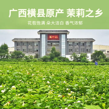 张一元茶叶茉莉花茶传统礼包茶礼新茶浓香型特级400g礼盒装 父亲节礼物 /水饮冲调 /茗茶 /茉莉花茶 商品图3