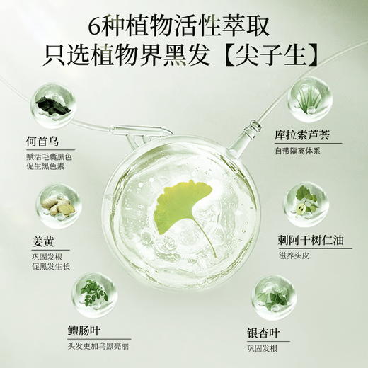 多爱银杏叶植物提取物染发剂 植物无氨配方 自然黑色遮白发 男女老少通用居家好物 商品图3