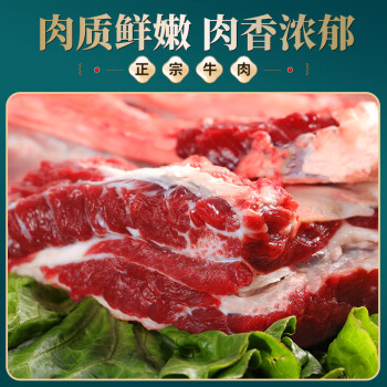 往来白丁 内蒙古牛腩肉2斤净重 新鲜黄牛肉牛腹肉红烧烤火锅食材无注水 /生鲜 /猪牛羊肉 /牛肉