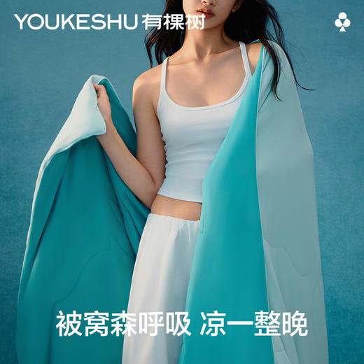 【新品上新】有棵树冰丝凉感可机洗双人夏凉被-J8001 商品图1