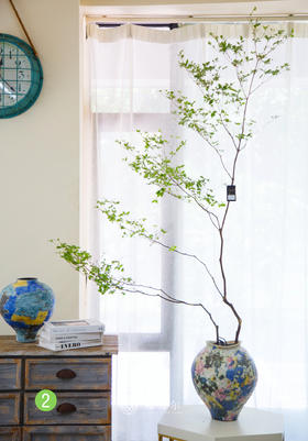 日本吊钟②（不含瓶）