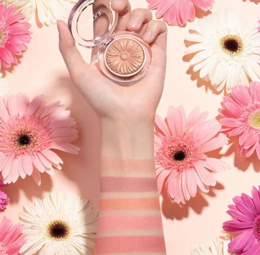 倩碧小雏菊腮红修容显白3.5g 商品图1