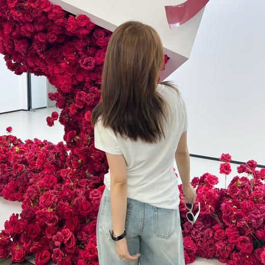 2506304     RL  纯棉V领女款T 商品图6