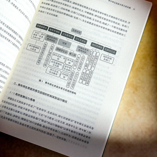 青春辉映理想之光 以“五史”教育为抓手构建高中青年师生思政共育互促机制的校本实践 商品图11