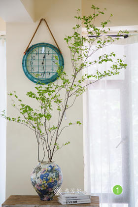 日本吊钟①（不含瓶）