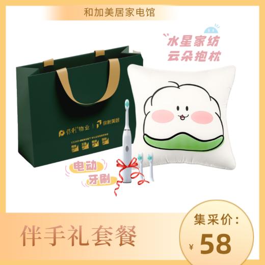 （30套起订）定制伴手礼_水星家纺云朵抱枕+佰造电动牙刷 商品图0
