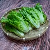 东升农场 有机生菜 沙拉菜莴苣 广州供港新鲜蔬菜配送 300g 商品缩略图2