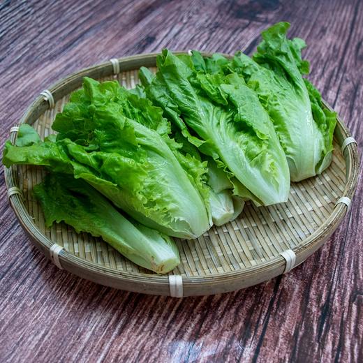 东升农场 有机生菜 沙拉菜莴苣 广州供港新鲜蔬菜配送 300g 商品图2